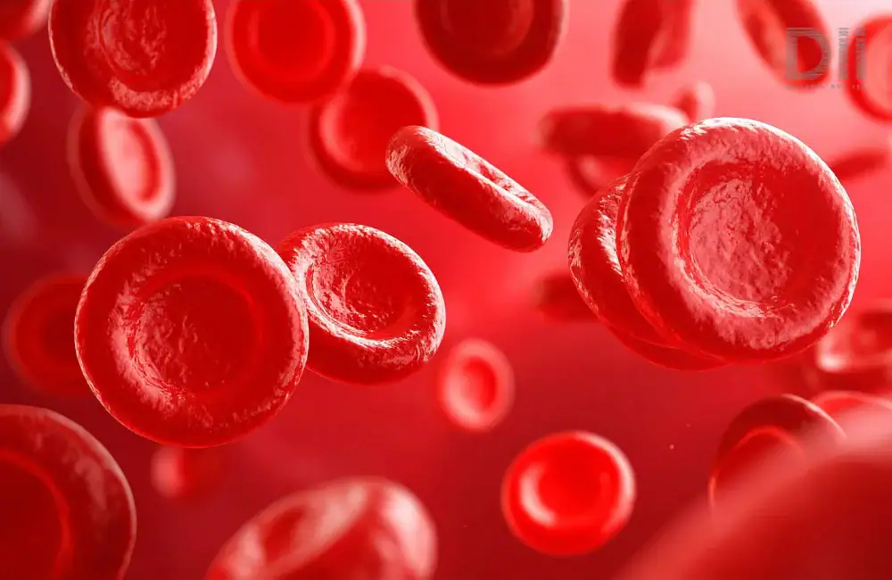 What is Chelation Therapy