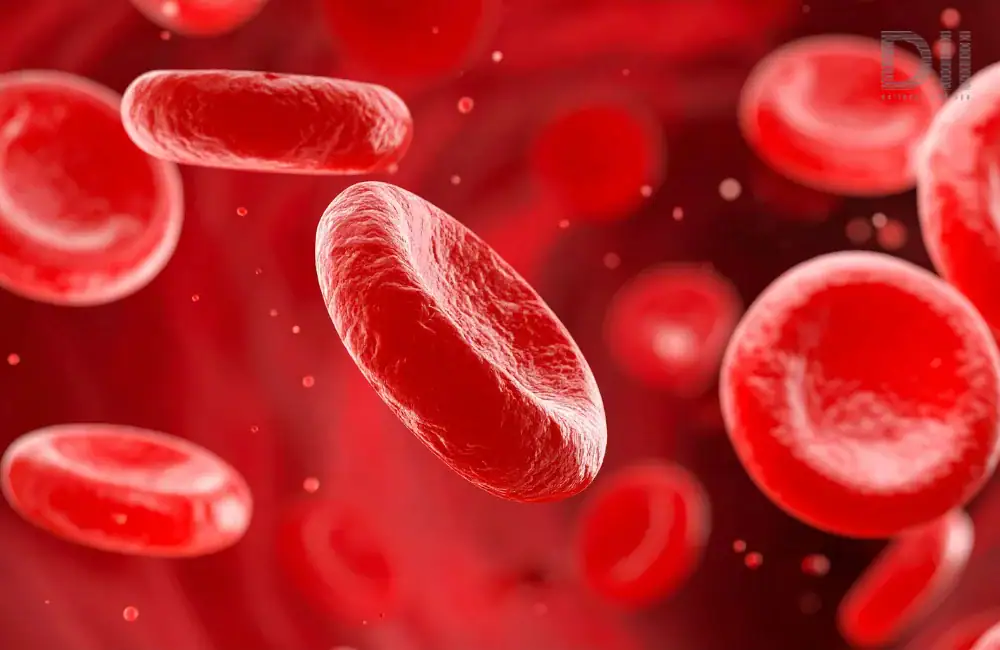 ฟื้นฟูสมดุลหลอดเลือด ที่ Dii Wellness Clinic